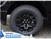 2025 Ford F-150 XLT (Stk: F51987) in GEORGETOWN - Image 5 of 24