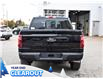 2025 Ford F-150 XLT (Stk: F51987) in GEORGETOWN - Image 7 of 24
