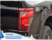 2025 Ford F-150 XLT (Stk: F51987) in GEORGETOWN - Image 8 of 24