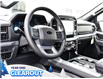 2025 Ford F-150 XLT (Stk: F51987) in GEORGETOWN - Image 9 of 24