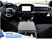 2025 Ford F-150 XLT (Stk: F51987) in GEORGETOWN - Image 15 of 24