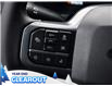2025 Ford F-150 XLT (Stk: F51987) in GEORGETOWN - Image 22 of 24