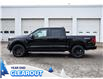 2025 Ford F-150 STX (Stk: F52065) in GEORGETOWN - Image 6 of 25
