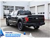 2025 Ford F-150 STX (Stk: F52065) in GEORGETOWN - Image 7 of 25