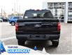 2025 Ford F-150 STX (Stk: F52065) in GEORGETOWN - Image 8 of 25