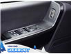 2025 Ford F-150 STX (Stk: F52065) in GEORGETOWN - Image 13 of 25