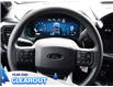 2025 Ford F-150 STX (Stk: F52065) in GEORGETOWN - Image 21 of 25