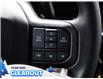 2025 Ford F-150 STX (Stk: F52065) in GEORGETOWN - Image 24 of 25
