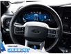 2025 Ford F-150 Lariat (Stk: F52128) in GEORGETOWN - Image 23 of 27