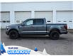 2025 Ford F-150 Lariat (Stk: F51982) in GEORGETOWN - Image 5 of 27