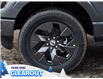 2025 Ford F-150 STX (Stk: F52132) in GEORGETOWN - Image 6 of 26