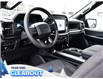 2025 Ford F-150 STX (Stk: F52132) in GEORGETOWN - Image 10 of 26