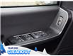 2025 Ford F-150 STX (Stk: F52132) in GEORGETOWN - Image 13 of 26