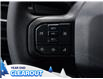 2025 Ford F-150 STX (Stk: F52132) in GEORGETOWN - Image 24 of 26