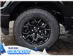 2025 Ford F-150 XLT (Stk: F52088) in GEORGETOWN - Image 6 of 27