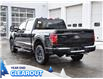 2025 Ford F-150 XLT (Stk: F52088) in GEORGETOWN - Image 7 of 27