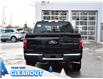 2025 Ford F-150 XLT (Stk: F52088) in GEORGETOWN - Image 8 of 27