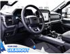 2025 Ford F-150 XLT (Stk: F52088) in GEORGETOWN - Image 11 of 27