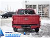 2025 Ford F-150 XLT (Stk: F51914) in GEORGETOWN - Image 7 of 24
