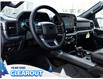 2025 Ford F-150 XLT (Stk: F51914) in GEORGETOWN - Image 9 of 24