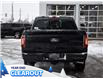 2025 Ford F-150 XLT (Stk: F52165) in GEORGETOWN - Image 8 of 23