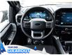 2025 Ford F-150 XLT (Stk: F52165) in GEORGETOWN - Image 19 of 23