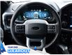 2025 Ford F-150 XLT (Stk: F52165) in GEORGETOWN - Image 20 of 23
