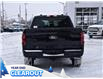2025 Ford F-150 STX (Stk: F52228) in GEORGETOWN - Image 8 of 24
