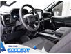 2025 Ford F-150 STX (Stk: F52228) in GEORGETOWN - Image 10 of 24