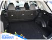 2025 Toyota RAV4 LE (Stk: 03318) in GEORGETOWN - Image 10 of 26