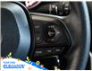 2025 Toyota RAV4 LE (Stk: 03318) in GEORGETOWN - Image 18 of 26