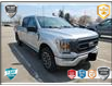 2023 Ford F-150 XLT (Stk: T1013) in Oakville - Image 1 of 12