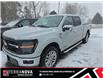 2024 Ford F-150 XLT (Stk: 22287A) in Grand Falls-Windsor - Image 1 of 7