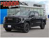 2026 GMC Sierra 1500 Elevation (Stk: 41572) in Georgetown - Image 1 of 28