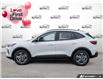 2025 Ford Escape ST-Line (Stk: 250273) in Hamilton - Image 3 of 26