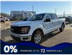 2025 Ford F-150 XLT (Stk: 5T149) in Williams Lake - Image 1 of 12