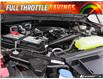 2025 Ford F-150 STX (Stk: 25F11149) in St. Catharines - Image 6 of 23