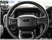 2025 Ford F-150 XLT (Stk: XFP975) in Sarnia - Image 13 of 25
