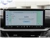 2026 Ford Explorer Platinum (Stk: XEQ001) in Sarnia - Image 22 of 22