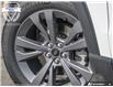 2026 Ford Explorer Active (Stk: XEQ184) in Sarnia - Image 8 of 26