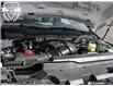 2026 Ford F-250 XLT (Stk: XFQ274) in Sarnia - Image 6 of 24