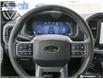 2026 Ford F-150 XLT (Stk: XFQ319) in Sarnia - Image 13 of 27