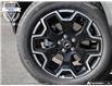 2026 Ford Bronco Sport Outer Banks (Stk: XBQ337) in Sarnia - Image 6 of 18