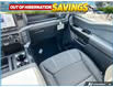 2026 Ford F-150 STX (Stk: 260248) in Hamilton - Image 19 of 19