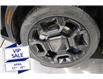 2025 Kia Sorento 2.5T EX (Stk: 26054) in Edmonton - Image 9 of 23