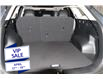 2024 Kia Sportage EX (Stk: 25110) in Edmonton - Image 21 of 23