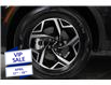 2024 Kia Sportage LX (Stk: 24902) in Edmonton - Image 8 of 19