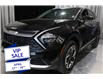 2024 Kia Sportage LX (Stk: 24902) in Edmonton - Image 7 of 19