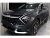 2024 Kia Sportage EX (Stk: 25104) in Edmonton - Image 7 of 23