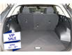 2024 Kia Sportage LX (Stk: 25240) in Edmonton - Image 16 of 18
